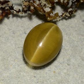 2.40 ct Yellow Cat's Eye Apatite Stone, Natural Cat's Eye Apatite in Oval Cabochon Shape for Sale