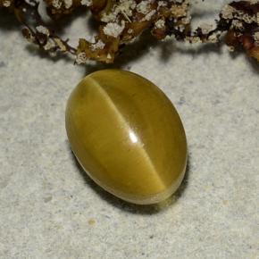 Cat's Eye Apatite Gemstone in 8.6 x 6.2 mm Size for Sale, Cat's Eye Apatite Stone in Golden Color