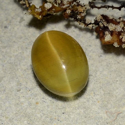 2.68 ct Yellow Cat's Eye Apatite, 9.1 x 6.7 mm Oval Cut From Kenya, Photo A