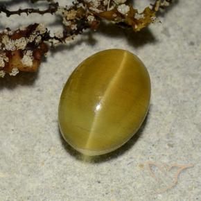 2.68 ct Yellow Cat's Eye Apatite Stone, Natural Cat's Eye Apatite in Oval Cabochon Shape for Sale