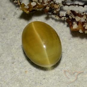 Cat's Eye Apatite Gemstone in 9 x 7 mm (calibrated) Size for Sale, Cat's Eye Apatite Stone in Earthy Yellow Color