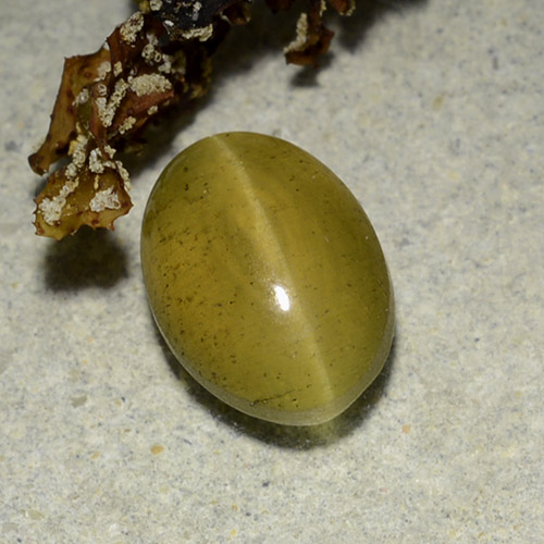 Oeil de chat Apatite Doré oval cabochon du Kenya, 10 x 7,2mm, poids de 3,28 ct, pierre gemme naturelle Non traité de pureté Translucide, 1 pièce d'apatite œil de chat, couleur Doré terreux, dureté Mohs de 5 à 5, Photo A