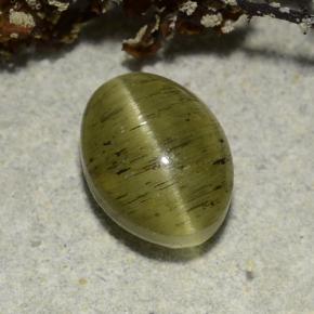 Medium Green Апатит Кошачий Глаз Камень - 2.7ct Овал Кабошон (ID: 486183)