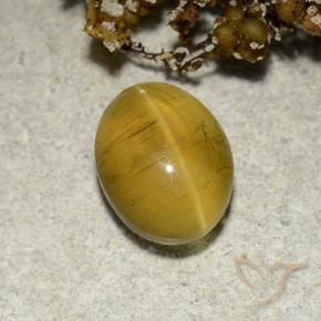 2.82 ct Yellow Cat's Eye Apatite Stone, Natural Cat's Eye Apatite in Oval Cabochon Shape for Sale