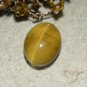 Cat's Eye Apatite Gemstone in 9.5 x 7.1 mm Size for Sale, Cat's Eye Apatite Stone in Yellow Brown Color