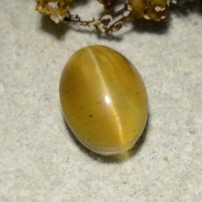 2.57 ct Yellow Cat's Eye Apatite Stone, Natural Cat's Eye Apatite in Oval Cabochon Shape for Sale