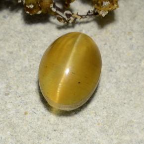 Cat's Eye Apatite Gemstone in 8.7 x 6.4 mm Size for Sale, Cat's Eye Apatite Stone in Greenish Golden Color