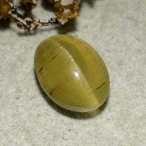 Marrón dorado Apatita Ojo de Gato Gema - 2.8ct Cabujón Óvalo (ID: 486188)