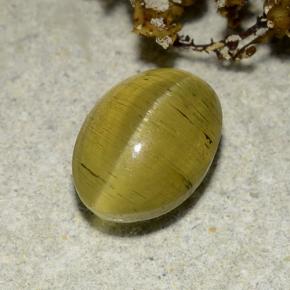 2.83 ct Golden Cat's Eye Apatite Stone, Natural Cat's Eye Apatite in Oval Cabochon Shape for Sale