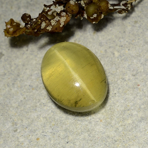 Yellowish Golden Cat's Eye Apatite Gem - 2.6ct Oval Cabochon (ID: 486190)