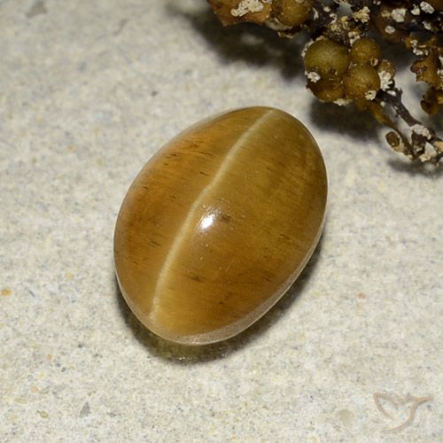 Apatite gialla a occhio di gatto da 3,48 ct, taglio ovale da 9,8 x 6,9 mm dal Kenya, Photo A