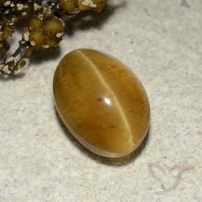 3.48 ct Golden Cat's Eye Apatite Stone, Natural Cat's Eye Apatite in Oval Cabochon Shape for Sale