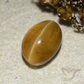 Cat's Eye Apatite Gemstone in 10 x 7 mm (calibrated) Size for Sale, Cat's Eye Apatite Stone in Golden-Brown Color
