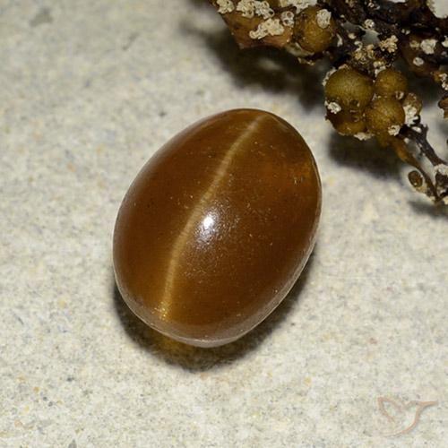 Apatite occhio di gatto marrone da 3,12 ct, taglio ovale da 8,9 x 6,5 mm dal Kenya, Photo A
