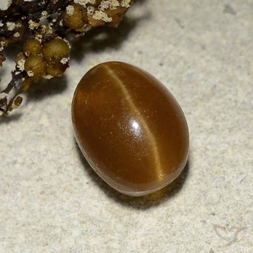 3.12 ct Brown Cat's Eye Apatite Stone, Natural Cat's Eye Apatite in Oval Cabochon Shape for Sale