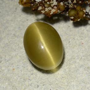 3.00 ct Yellow Cat's Eye Apatite Gemstone, Cat's Eye Apatite Gem in Oval Cabochon Shape for Sale.