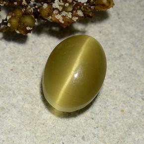 3.00 ct Yellow Cat's Eye Apatite Stone, Natural Cat's Eye Apatite in Oval Cabochon Shape for Sale