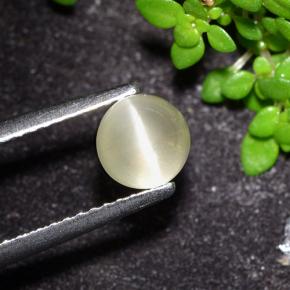 1.2ct Round Cabochon Yellow Cat's Eye Apatite for sale thumb image of 1.2ct Round Cabochon Yellow Cat's Eye Apatite (ID: 494560)