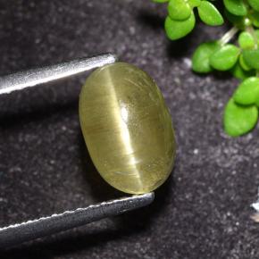 Neutral Yellow Апатит Кошачий Глаз Камень - 2.3ct Овал Кабошон (ID: 494561)