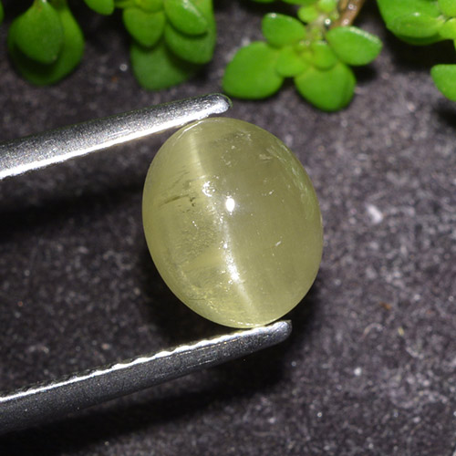 Oeil de chat Apatite Jaune oval cabochon du Kenya, 8,2 x 6,7mm, poids de 1,96 ct, pierre gemme naturelle Non traité de pureté Translucide, 1 pièce d'apatite œil de chat, couleur Jaune moyen, dureté Mohs de 5 à 5, Photo A