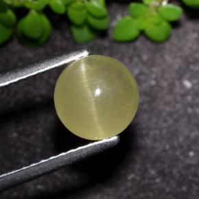 2.2ct Round Cabochon Greenish Yellow Cat's Eye Apatite for sale thumb image of 2.2ct Round Cabochon Greenish Yellow Cat's Eye Apatite (ID: 494568)