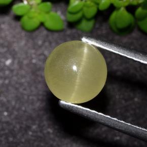 2.17 ct Yellow Cat's Eye Apatite Stone, Natural Cat's Eye Apatite in Round Cabochon Shape for Sale