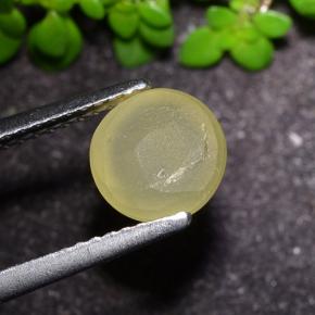 Cat's Eye Apatite Gemstone in 7 mm (calibrated) Size for Sale, Cat's Eye Apatite Stone in Earthy Yellow Color