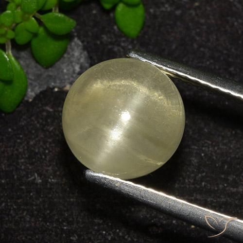 4.18 ct Yellow Cat's Eye Apatite Stone, Natural Cat's Eye Apatite in Round Cabochon Shape for Sale