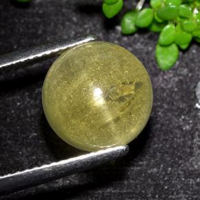 6.4ct Round Cabochon Greenish Yellow Cat's Eye Apatite Gem for sale 6.4ct Round Cabochon Greenish Yellow Cat's Eye Apatite Gem (ID: 494573)