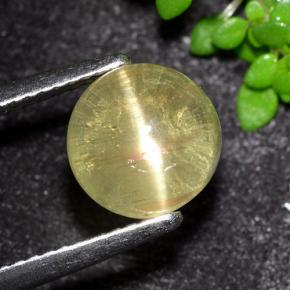 Amarillo medio Apatita Ojo de Gato Gema - 3.5ct Cabujón Redondo (ID: 494574)