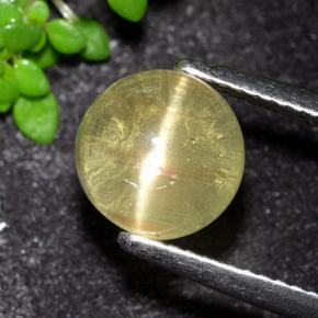 3.50 ct Yellow Cat's Eye Apatite Stone, Natural Cat's Eye Apatite in Round Cabochon Shape for Sale