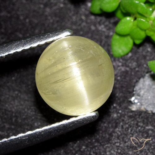 Apatite gialla a occhio di gatto da 3,41 ct, taglio rotondo da 8,2 mm dal Kenya, Photo A