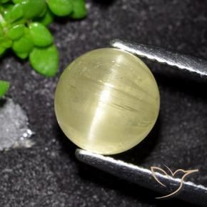 3.41 ct Yellow Cat's Eye Apatite Stone, Natural Cat's Eye Apatite in Round Cabochon Shape for Sale