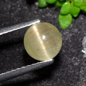 1.1ct Round Cabochon Yellow Cat's Eye Apatite for sale thumb image of 1.1ct Round Cabochon Yellow Cat's Eye Apatite (ID: 494576)