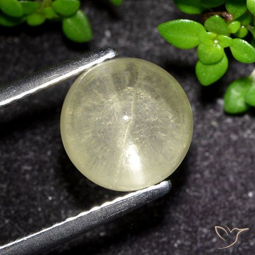 Apatite gialla a occhio di gatto da 3,48 ct, taglio rotondo da 8,3 mm dal Kenya, Photo A