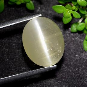 Pale Yellow Cat's Eye Apatite Gem - 4.9ct Oval Cabochon (ID: 494581)