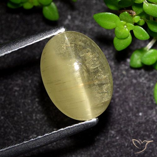 Apatite gialla a occhio di gatto da 3,09 ct, taglio ovale da 10,1 x 7,5 mm dal Kenya, Photo A