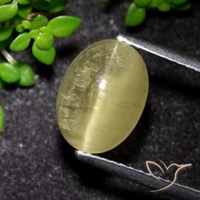 3.09 ct Yellow Cat's Eye Apatite Stone, Natural Cat's Eye Apatite in Oval Cabochon Shape for Sale