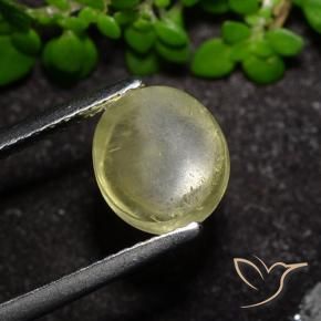Cat's Eye Apatite Gemstone in 7.9 x 7.2 mm Size for Sale, Cat's Eye Apatite Stone in Neutral Yellow Color