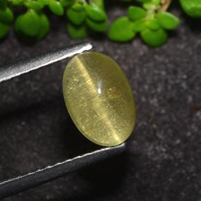 Light Yellow Cat's Eye Apatite Gem - 1.6ct Oval Cabochon (ID: 494662)