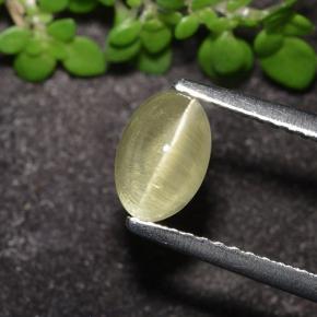 1.2ct Oval Cabochon Greenish Golden Cat's Eye Apatite Gem for sale 1.2ct Oval Cabochon Greenish Golden Cat's Eye Apatite Gem (ID: 494664)