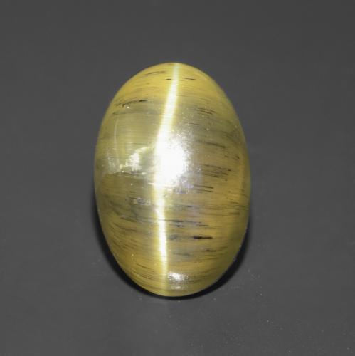 Yellow Brown Cat's Eye Apatite Gem - 2.9ct Oval Cabochon (ID: 546225)