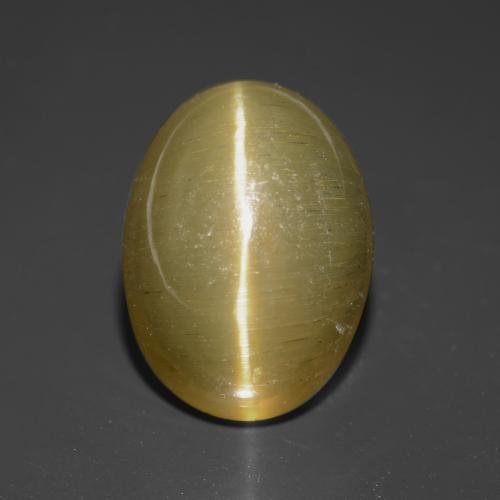 Yellow Brown Cat's Eye Apatite Gem - 5.1ct Oval Cabochon (ID: 546226)