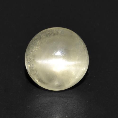 Warm White Cat's Eye Apatite Gem - 1.5ct Round Cabochon (ID: 602125)