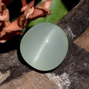 Cat's Eye Aquamarine Gemstone in 11.2 x 10.8 mm Size for Sale, Cat's Eye Aquamarine Stone in Light Bluish Green  Color