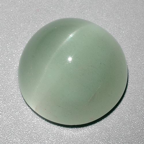 Verde menta Aguamarina Ojo de Gato Gema - 28ct Cabujón Redondo (ID: 380205)