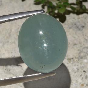 hellbläulich-grün Aquamarin-Katzenauge Edelstein - 12ct Oval Cabochon (ID: 474248)