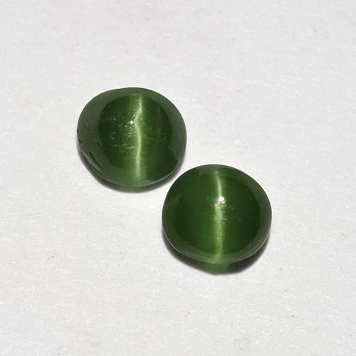 Verde alga Augita ojo de gato Gema - 0.3ct Cabujón Redondo (ID: 517078)