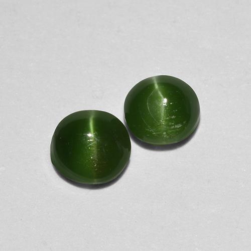 ダークグリーン キャッツアイオーガイト 宝石 - 0.3ct ラウンドカボション (ID: 517081)