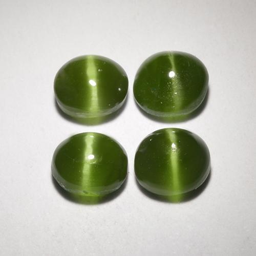ミディアムグリーン キャッツアイオーガイト 宝石 - 0.5ct ラウンドカボション (ID: 519123)